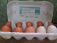 Eier von gl&uuml;cklichen gesunden H&uuml;hnern